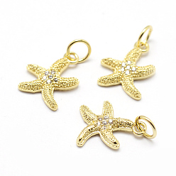 Настоящее золото 18K Латунные микро проложить класса AAA кубического циркония подвески, морская звезда / морские звезды, без свинца, без никеля и без кадмия, реальный 18 k позолоченный, 13x10.5x2 мм, отверстие : 3.5 мм