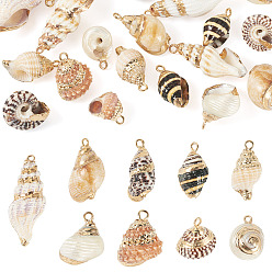Mixed Color 18Pcs 9 Styles Electroplated Natural Shell Pendants, Shell Shape Charms, with Brass Findings, Golden, Mixed Color, 12.5~33x8~15.5x5~14mm, Hole: 1.4~1.8mm, 2pcs/style