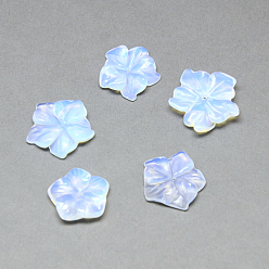 Opalite Perles opalite, fleur, 16~20x16~20x4~5mm, Trou: 1mm