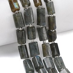Лабрадорита Природные лабрадорита бисер нитей, граненые, колонка, с бисером, 9.5~13x4.5~8x4~7.5 мм, отверстие : 0.8~1 мм, около 28~34 шт / нитка, 15.35~15.94'' (39~40.5 см)