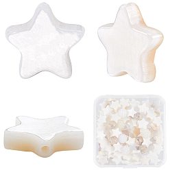 Кремово-белый 3 нити из натуральных пресноводных бусин из ракушек, звезда, кремово-белые, 9.5x10x3 мм, отверстие : 1 мм, около 40 шт / нитка, 13.39'' (34 см)