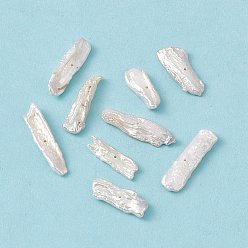 Морская Ракушка Бусины из натурального жемчуга кеши в стиле барокко, прямоугольные, цвет морской раковины, 17~27x5~8.5x2~3 мм, отверстие : 0.7 мм