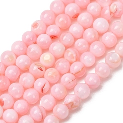 Pink Окрашенные естественных пресноводных стеклянные бусы нити, гладкий круглый, розовые, 3 мм, отверстие : 0.6 мм, около 61~62 шт / нитка, 7.01''~7.17'' (17.8~18.2 см)