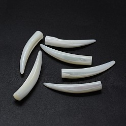 Морская Ракушка Стеклянные бусы, неочищенные / без отверстий, слоновой кости форма, цвет морской раковины, 33~38x5~6 мм