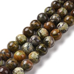Natural Gemstone Natural Gemstone Beads Strands, Round, 10~10.5mm, Hole: 1mm, about 40pcs/strand, 15.75 inch(40cm)