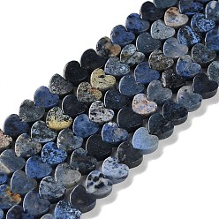 Содалитовое Природный содалит бисер нитей, сердце, 6x6x3 мм, отверстие : 1 мм, около 69~71 шт / нитка, 14.57''~14.96'' (37~38 см)