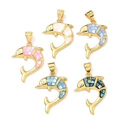 Настоящее золото 18K Латунь эмаль подвески, с естественной оболочке, прелести дельфинов, долговечный, стойки покрытие, без свинца и без кадмия, реальный 18 k позолоченный, 21x16x3 мм, отверстие : 4.5x3.5 мм
