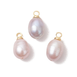 Золотой Натуральные культивированные пресноводные жемчужные рисовые подвески, с латунными штифтовыми скобами, чертополох, золотые, 12x6.5~7 мм, отверстие : 1.6 мм