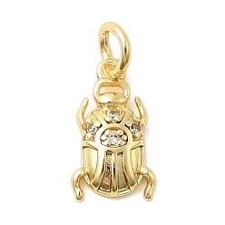 Настоящее золото 18K Латунные микро проложить кубического циркония прелести, насекомые, долговечный, стойки покрытие, с целью перехода в кольце, реальный 18 k позолоченный, 13x7.5x2.5 мм, отверстие : 3.2 мм