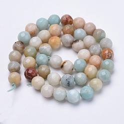 Flower Amazonite Natural Flower Amazonite Beads Strands, Faceted, Round, 10mm, Hole: 1.2mm, about 37pcs/strand, 15.3 inch