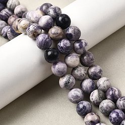 Другие Джасперы Нити бусин из натуральной фиолетовой яшмы в полоску, круглые, класса AB, 10 мм, отверстие : 1.2 мм, около 39~41 шт / нитка, 14.84''~15.83'' (37.7~40.2 см)