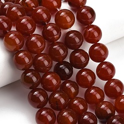 Carnelian Natural Carnelian Beads Strands, Dyed & Heated, Smooth Round, Grade B, 14mm, Hole: 1mm, about 28pcs/strand, 15.28~15.35''(38.8~39cm)
