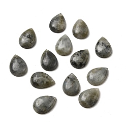 Лабрадорита Природные подвески лабрадорита, слезинки, 25~26x18x6~7 мм, отверстие : 1.6 мм