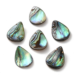 Раковина Естественно Paua стеклянные бусы, бусины с каплевидным верхом, красочный, 19.5~20.5x15~16x4~6 мм, отверстие : 0.9 мм