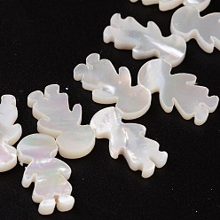 Antique White Natural Shell Beads, Child, Antique White, 15x8x2mm, Hole: 1mm
