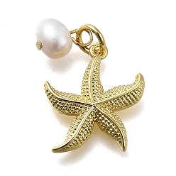 Морская звезда Латунные подвески, стойки покрытие, долговечный, с натуральной жемчужиной, реальный 18 k позолоченный, без кадмия и без свинца, морская звезда, 17x15x3 мм, отверстие : 3.5 мм