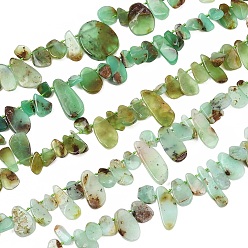 Chrysoprase Natural Chrysoprase Beads Strands, Nuggets, Top Drilled, 8~29x5~20x3~6mm, Hole: 0.8~1mm, 15.35~15.75''(39~40cm)