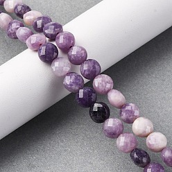 Лепидолит Натуральный лепидолит / пурпурный слюдяный камень бисер пряди, граненый ромб, плоско-круглые, 8~8.5x4.5~6.8 мм, отверстие : 0.8~1.2 мм, около 48~49 шт / нитка, 15.08~15.35 дюйм (38.3~39 см)