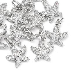 Платинированный Латунные микропаве прозрачные подвески с фианитом, без кадмия, без никеля и без свинца, прелести морская звезда, Реальная платина, 13x11x3 мм, Перейти кольцо: 5x1 мм, внутренний диаметр: 3 мм