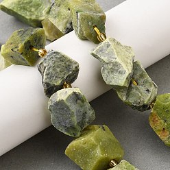 Змеевик Необработанные грубые натуральные серпантиновые бусины нити, самородки, с бисером, 14~28x15~25x10~27 мм, отверстие : 1.2~1.4 мм, около 9~10 шт / нитка, 7.76''~8.07'' (19.7~20.5 см)