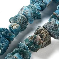 Apatite Brins de perles d'apatite naturelle brute brute, nuggets, 9~17x7~16x8~14mm, Trou: 0.9mm, Environ 21~25 pcs/chapelet, 7.09''~7.87'' (18~20 cm)