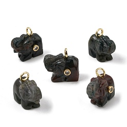 Agate Indienne Pendentifs sculptés en agate indienne naturelle, breloques éléphant avec sertissage micro-pavé en laiton et zircon cubique transparent, or, 22~24x25~26.5x13~14mm, Trou: 3.5~4mm