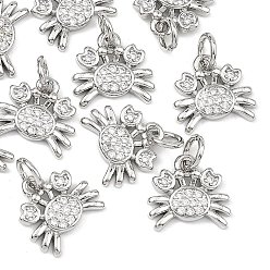 Real Platinum Plated SHEGRACE Brass Clear Cubic Zirconia Charms, Crab Charms, Cadmium Free & Lead Free & Nickel Free, Real Platinum Plated, 10x11x2mm, Hole: 3.5mm