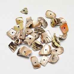 Tan Dyed Natural Shell Nuggets Chips Beads, Tan, 11~20x5~15mm, Hole: 1mm, about 850pcs/500g