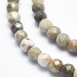 Fossil Coral Natural Fossil Coral Beads Strands, Faceted, Round, 4mm, Hole: 0.8mm, about 103pcs/strand, 15.3 inch