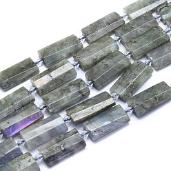 Лабрадорита Природные лабрадорита бисер нитей, прямоугольные, граненые, 27~29x13~14x6~7 мм, отверстие : 1.5 мм, около 12 шт / нитка, 14.96 дюйм (38 см)