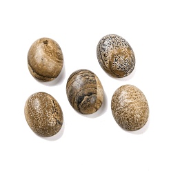 Пейзажный Джаспер Естественная картина яшма кабошоны, овальные, 15.5~18x12~13x5.5~7 мм