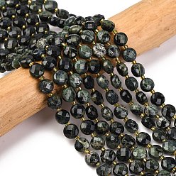 Яшма Камбаба Натуральные пряди камбабы из яшмы, с бисером, граненые, плоско-круглые, 6~6.5x4 мм, отверстие : 1 мм, около 50 шт / нитка, 15.35'' (39 см)