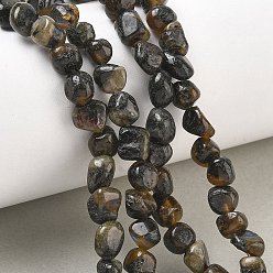Larvikite Natürliche Larvikit-Perlenstränge, Nuggets, getrommelt Stein, 6~8.5x6~7.5x5~8 mm, Bohrung: 0.9 mm, ca. 27~35 Stk. / Strang, 9.84~11.02'' (25~28 cm)