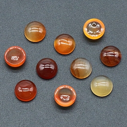 Red Agate Натуральный красный агат кабошонов, полукруглый, 10x5 мм