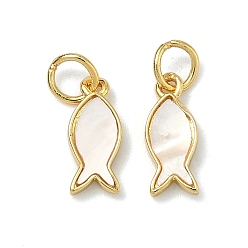 Белые Ракушки Натуральные белые моллюски-талисманы, с латунной, без свинца и без кадмия, стойки покрытие, долговечный, реальный 18 k позолоченный, 12x5x1.8 мм, Перейти кольцо: 5x0.7 мм, внутренний диаметр: 3.5 мм