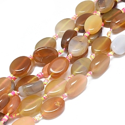 Верблюжий Натуральный полосатый агат / полосатые агатовые бусы, окрашенная и подогревом, овальные, верблюжие, 23~26x16~19x5~10 мм, отверстие : 1.6 мм, около 12~13 шт / нитка, 15.4 дюйм (39 см)