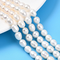 Кремово-белый Нити из натурального культивированного пресноводного жемчуга, рис, кремово-белые, 7~9x6~7.5 мм, отверстие : 0.5 мм, около 43~44 шт / нитка, 14.65~14.88'' (37.2~37.8 см)