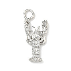 Other Animal Латунные микропаве прозрачные подвески с фианитом, платина, омар, 18x7.5x2 мм, отверстие : 2.5 мм