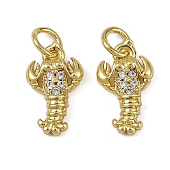 Настоящее золото 18K Латунные микро проложить кубического циркония подвески, омары-талисманы, долговечный, без кадмия и без свинца, стойки покрытие, с целью перехода в кольце, реальный 18 k позолоченный, 13.5x8.5x3 мм, отверстие : 3.2 мм