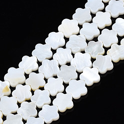 Морская Ракушка Естественных пресноводных оболочки бисер нитей, цветок, цвет морской раковины, 10x10.5x3 мм, отверстие : 0.8 мм, около 40~41 шт / нитка, 15.35 дюйм ~ 15.55 дюйм (39 см ~ 39.5 см)