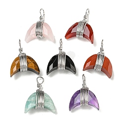 Смешанные камни Подвески из медной проволоки из натурального смешанного камня, подвески из граненого рога, платина, 23x17.5x8 мм, отверстие : 3x5 мм