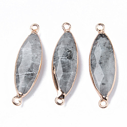 Лабрадорита Соединители из натурального лабрадорита, со светлыми позолоченными краями железные петли, рис, граненые, 34~35x10x5.5 мм, отверстие : 2 мм