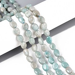 Амазонит Природных амазонит бисер нитей, Плоско-овальные, 8x6x4 мм, отверстие : 0.8 мм, около 48~49 шт / нитка, 14.88~15.16'' (37.8~38.5 см)
