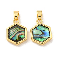 Настоящее золото 18K Природные пауа оболочки подвески, покрытие стойки латунные шестигранные подвески, реальный 18 k позолоченный, 15.5x11x3 мм, отверстие : 3x4.5 мм