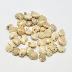 Pale Goldenrod Natural Snail Shell Beads, Pale Goldenrod, 7~11x6~10mm, Hole: 1~4mm, about 1850pcs/500g