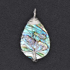 Silver Natural Paua Shell Pendants, Teardrop with Tree of Life, Silver, 38x22mm