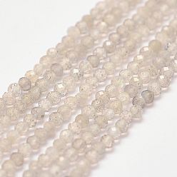 Labradorite Natural Labradorite Bead Strands, Faceted, Rondelle, 2x1.5mm, Hole: 0.5mm, about 190pcs/strand, 15.2 inch