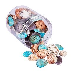 Mixed Color Dyed Natural Shell Beads, Mixed Color, 32~37x20~29x8~10mm, Hole: 1mm, about 100~120pcs/box