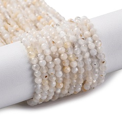 White Moonstone Натуральный белый лунный камень бисер пряди, граненые, круглые, 3~3.5 мм, отверстие : 0.6~0.7 мм, около 112~127 шт / нитка, 14.69~15.47'' (37.3~39.3 см)