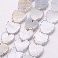 Blue Lace Agate Natural Blue Lace Agate Bead Strands, Heart, 10~11x10~11x3mm, Hole: 0.8mm, about 41pcs/strand, 16 inch